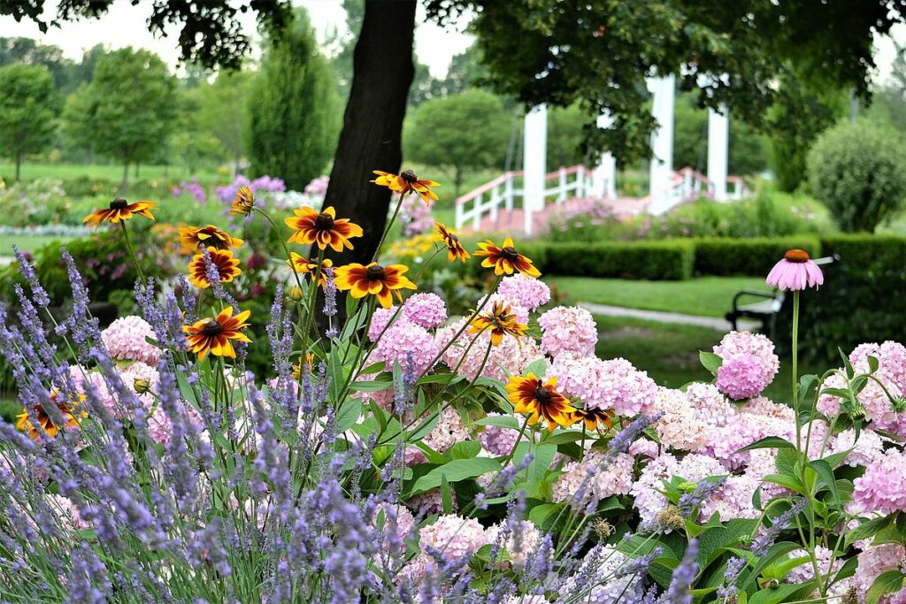 fleur de jardin