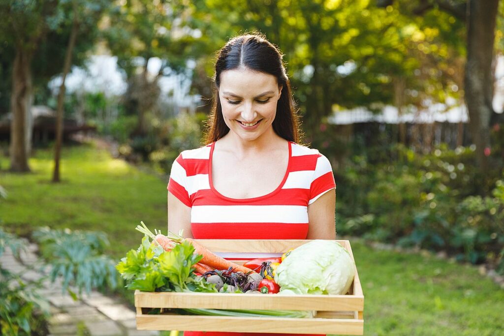 potager jardin